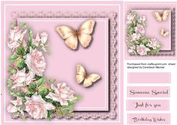 Lovely Pink Roses and Butterfly's 