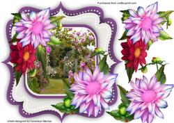 Beautiful Scene with Dahalia's
