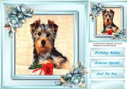 Cute Yorkie and Rroses 