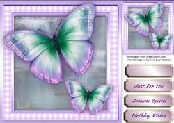 Stunning Butterfly's in Lilac and Aqua