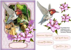 Lovely Humming Bird and Hibiscus 
