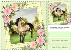 Beautiful Horse in a Gingham Frame