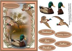 Mallard Ducks on the Marsh 