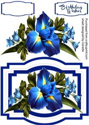 Beautiful Iris and Bell Flowers 