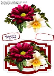 Beautiful Chrysanthemum and Daffodil.