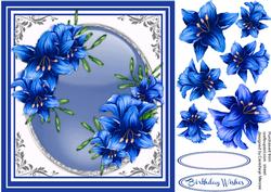Stunning Lillie's in Blue