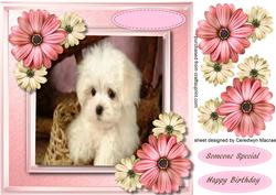 Cute Pup in a Basket