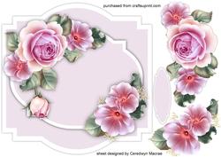 Beautiful Roses on a Shaped Mat