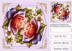 Beautiful Twinkle Roses