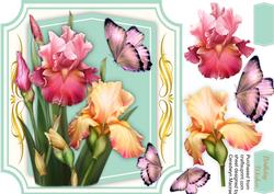 Lovely Blush Irises and Butterfly's