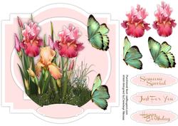 Lovely Blush Irises on a Shaped Card