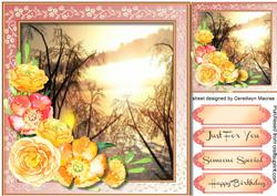 Beautiful Smmer Sunset 