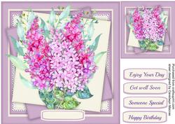 Beautiful Summer Lilac 