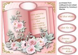 Beautiful Pink Birthday Book
