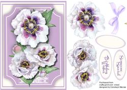 Lovely Lilac and White Peonies