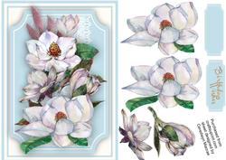 Lovely Wqater Colour Magnolias on Lace
