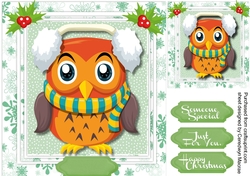 Cute Owl Wrapped up for Christmas 