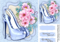 Beautiful Shoes and roses on a Blue script mat 3,
