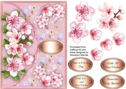 Envelope card with Blosom