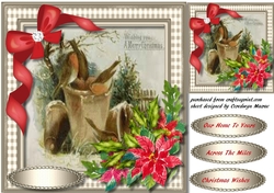 Robins on The Flowerpot