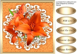 Beautiful Orange Lillies on Cut out lace