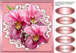 Beautiful Pink Orchids on Cut Out Lace 2