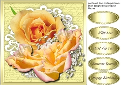 Beautiful Apricot Roses on Cut out Lace 4