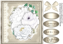 Beautiful White Roses on lace 4