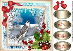 Beautiful Bird and Snowflakes .
