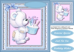 Little Teds Cupcake Birthday