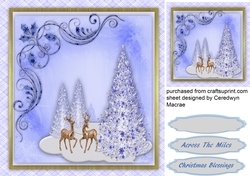 Beautiful Blue Cchristrmas Scene