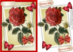 Beautiful Red Roses and Butterflys 