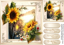 Beautiful Sunflowers at Sunset