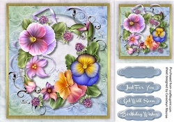 Beautiful Spring pansys and Berrys 