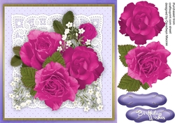 Beautiful Cerise Roses on Lace 