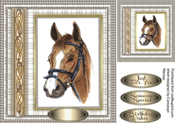 Beautiful Horse head with Entwined Rope 