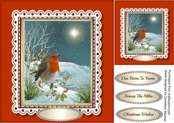 Robin On The Branch