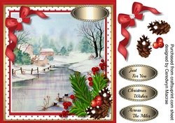 Beautiful Snowscene and Berrys