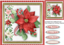 Beautiful Christmas Poinsettia