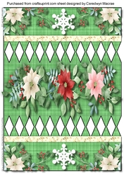 Beautiful Green Christmads Cracker 2