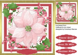 Lovely Pink Poinsettia and Holly 