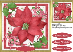 Lovely Red Poinsettia and Holly