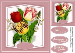 Beautiful Tulips and Babys Breath