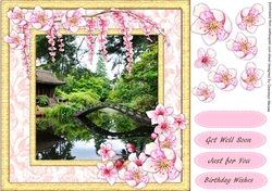 Beautiful Blosson in a Japanse Garden