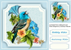 Blue Bird on a Branch