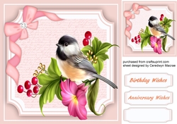 Beautiful Bird and Berries