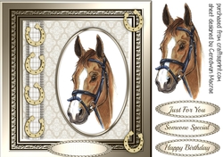 Stunning Horses Head in oval Frame