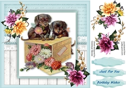 Bbeautiful puppies on a Box of flowers