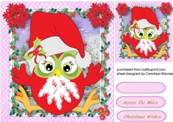 Hhappy Christmas Owl,