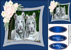 Stunning White Tigers 2